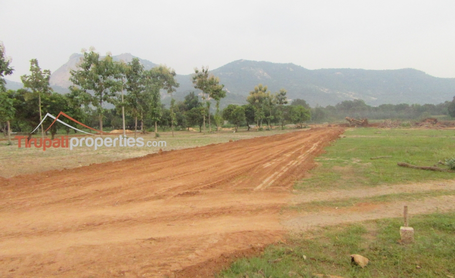 Low Budget Plots and Below 45 Lacs Houses for Sale Near Chandragiri Fort Junction